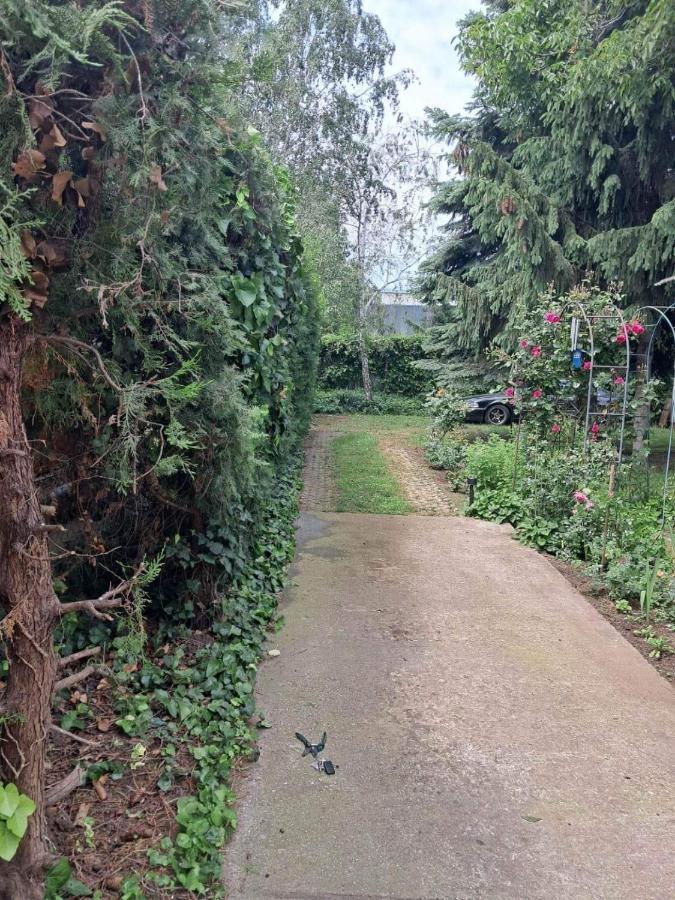 2 Rooms Retro Guesthouse In A Silent Garden ベセス エクステリア 写真
