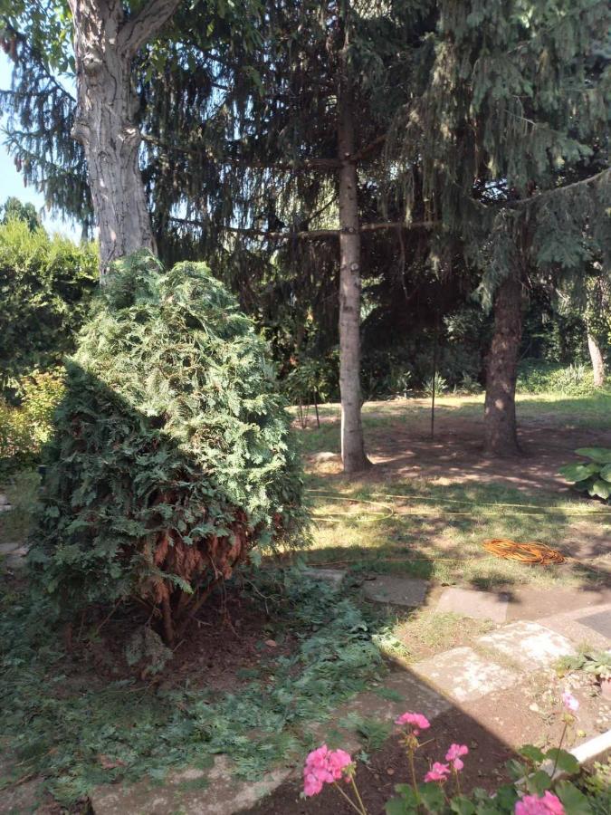 2 Rooms Retro Guesthouse In A Silent Garden ベセス エクステリア 写真
