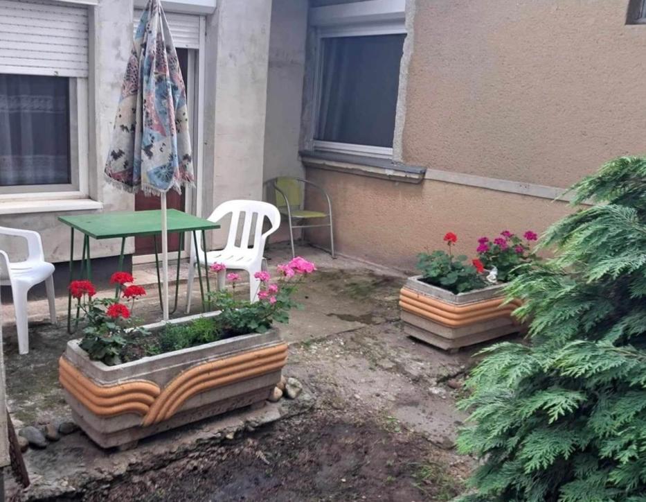 2 Rooms Retro Guesthouse In A Silent Garden ベセス エクステリア 写真